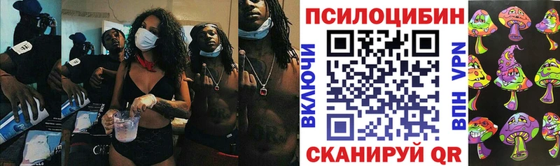 МЕГА зеркало  купить наркотик  Снежногорск  Галлюциногенные грибы мицелий 