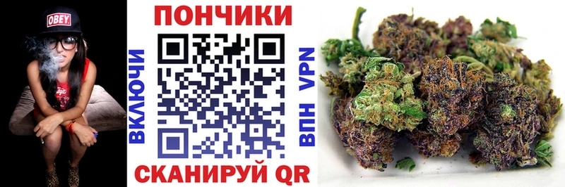 Бошки Шишки конопля Снежногорск